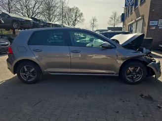 Volkswagen Golf Golf VII (AUA), Hatchback, 2012 / 2021 1.4 TSI BlueMotion Technology 125 16V picture 7