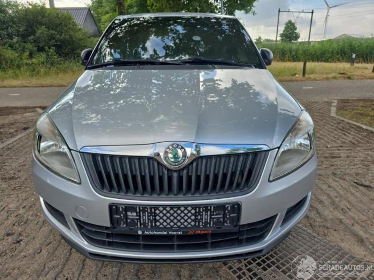 Skoda Fabia Fabia II (5J), Hatchback 5-drs, 2006 / 2014 1.2i