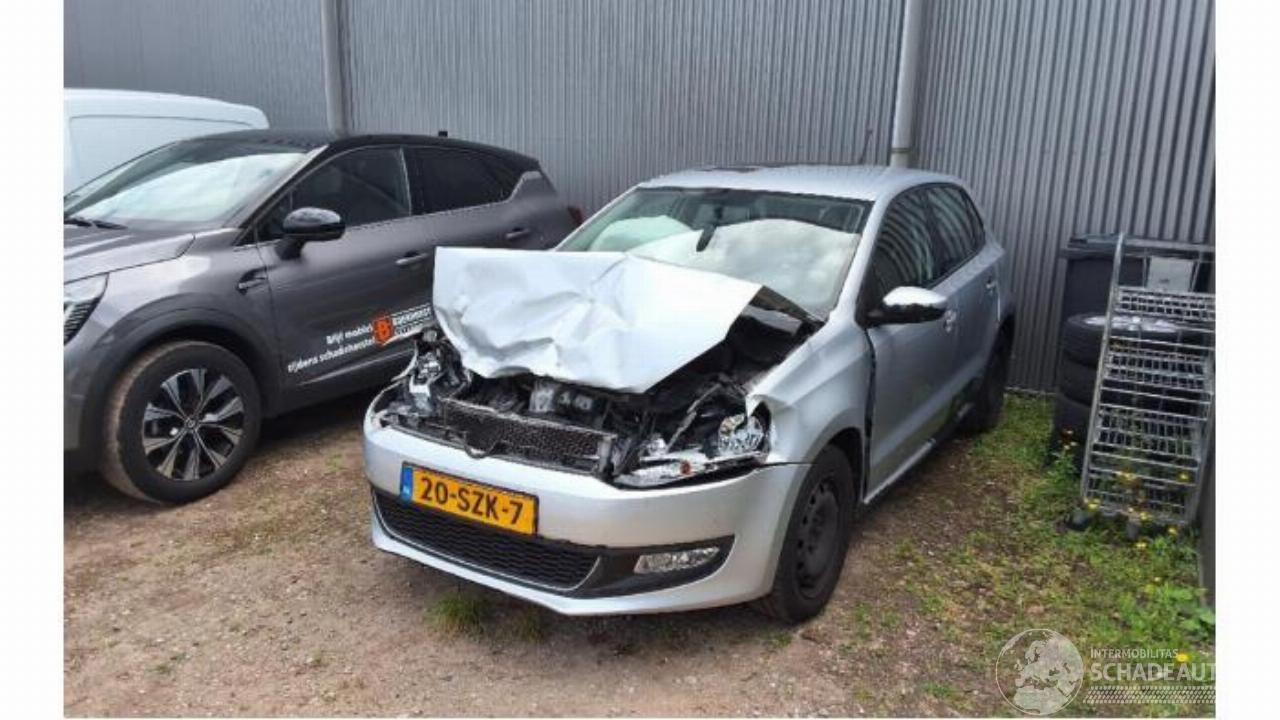 Volkswagen Polo Polo V (6R), Hatchback, 2009 / 2017 1.2 TSI