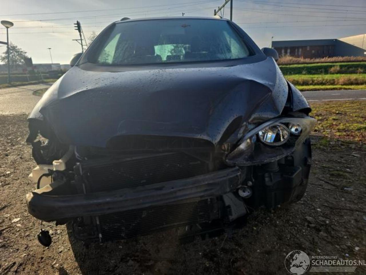 Seat Altea Altea XL (5P5), MPV, 2006 / 2015 1.6