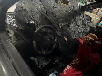 Volkswagen Caddy Caddy Cargo V (SBA/SBH), Van, 2020 2.0 TDI BlueMotionTechnology picture 13