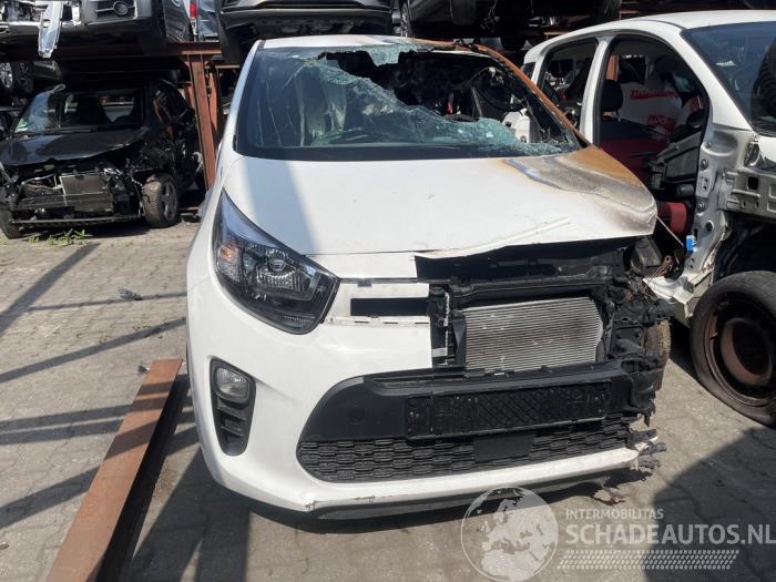 Kia Picanto Picanto (JA), Hatchback, 2017 1.0 DPI 12V