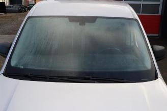 Volkswagen Caddy Caddy Cargo V (SBA/SBH), Van, 2020 2.0 TDI BlueMotionTechnology picture 28