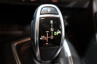 BMW X1 X1 (E84), SUV, 2009 / 2015 sDrive 20i 2.0 16V Twin Power Turbo picture 22