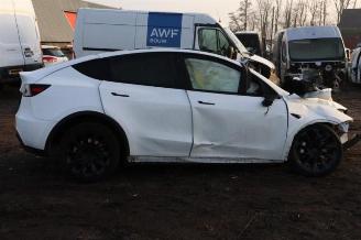 Tesla Model Y Model Y (5YJY), SUV, 2019 RWD picture 6