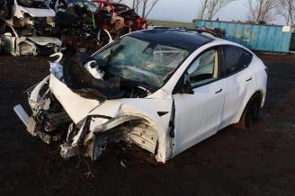 demontáž osobní automobily Tesla Model Y Model Y (5YJY), SUV, 2019 RWD 2024/3