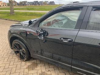 Audi Q3 Q3 Sportback (F3N), SUV, 2019 1.4 45 TFSIe 16V picture 34