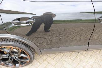 Cupra Formentor Formentor, SUV, 2020 2.5 VZ5 16V 4Drive picture 34