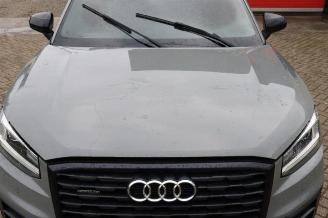 Audi Q2 Q2 (GAB/GAG), SUV, 2016 2.0 TDI 16V 190 Quattro picture 9
