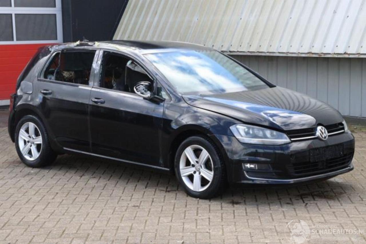 Volkswagen Golf Golf VII (AUA), Hatchback, 2012 / 2021 1.6 TDI 16V