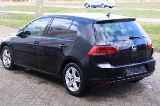 Volkswagen Golf Golf VII (AUA), Hatchback, 2012 / 2021 1.6 TDI 16V picture 5