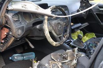 Volkswagen Golf Golf VII (AUA), Hatchback, 2012 / 2021 1.6 TDI 16V picture 11