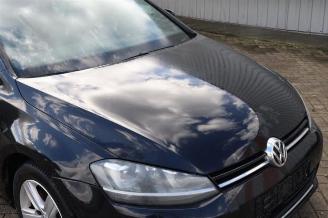 Volkswagen Golf Golf VII (AUA), Hatchback, 2012 / 2021 1.6 TDI 16V picture 21