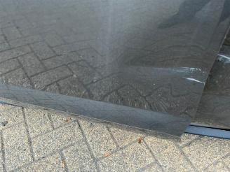 Volkswagen Polo Polo VI (AW1), Hatchback 5-drs, 2017 2.0 GTI Turbo 16V picture 16