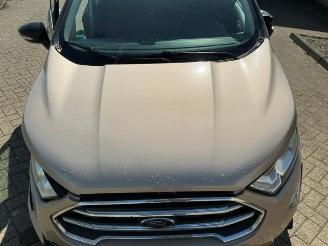 Ford EcoSport EcoSport (JK8), SUV, 2013 1.0 EcoBoost 12V 125 picture 14