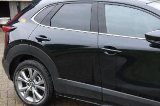 Mazda CX-30 CX-30 (DM), SUV, 2019 2.0 e-SkyActiv-G 122 16V picture 28