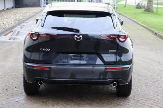 Mazda CX-30 CX-30 (DM), SUV, 2019 2.0 e-SkyActiv-G 122 16V picture 4