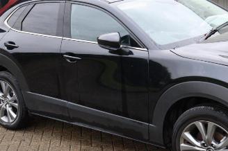 Mazda CX-30 CX-30 (DM), SUV, 2019 2.0 e-SkyActiv-G 122 16V picture 27