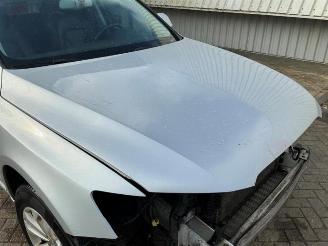 Audi Q5 Q5 (8RB), SUV, 2008 / 2017 2.0 TFSI 16V Quattro picture 31