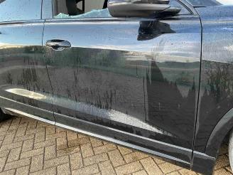 Audi RS Q8 RS Q8, SUV, 2019 4.0 V8 32V RS TFSI Mild Hybrid Quattro picture 22