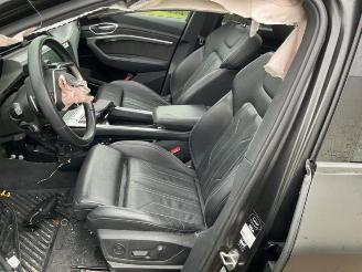 Audi E-tron E-tron (GEN), SUV, 2018 55 quattro picture 11