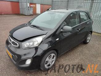 demontáž osobní automobily Kia Picanto Picanto (TA), Hatchback, 2011 / 2017 1.0 12V 2011/9