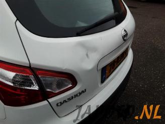 Nissan Qashqai Qashqai (J10), SUV, 2007 / 2014 1.6 16V picture 9