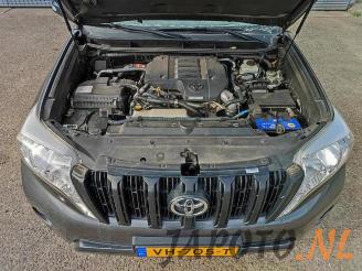 Toyota Landcruiser Land Cruiser (J15), Terreinwagen, 2009 3.0 D-4D-F 16V Van picture 16