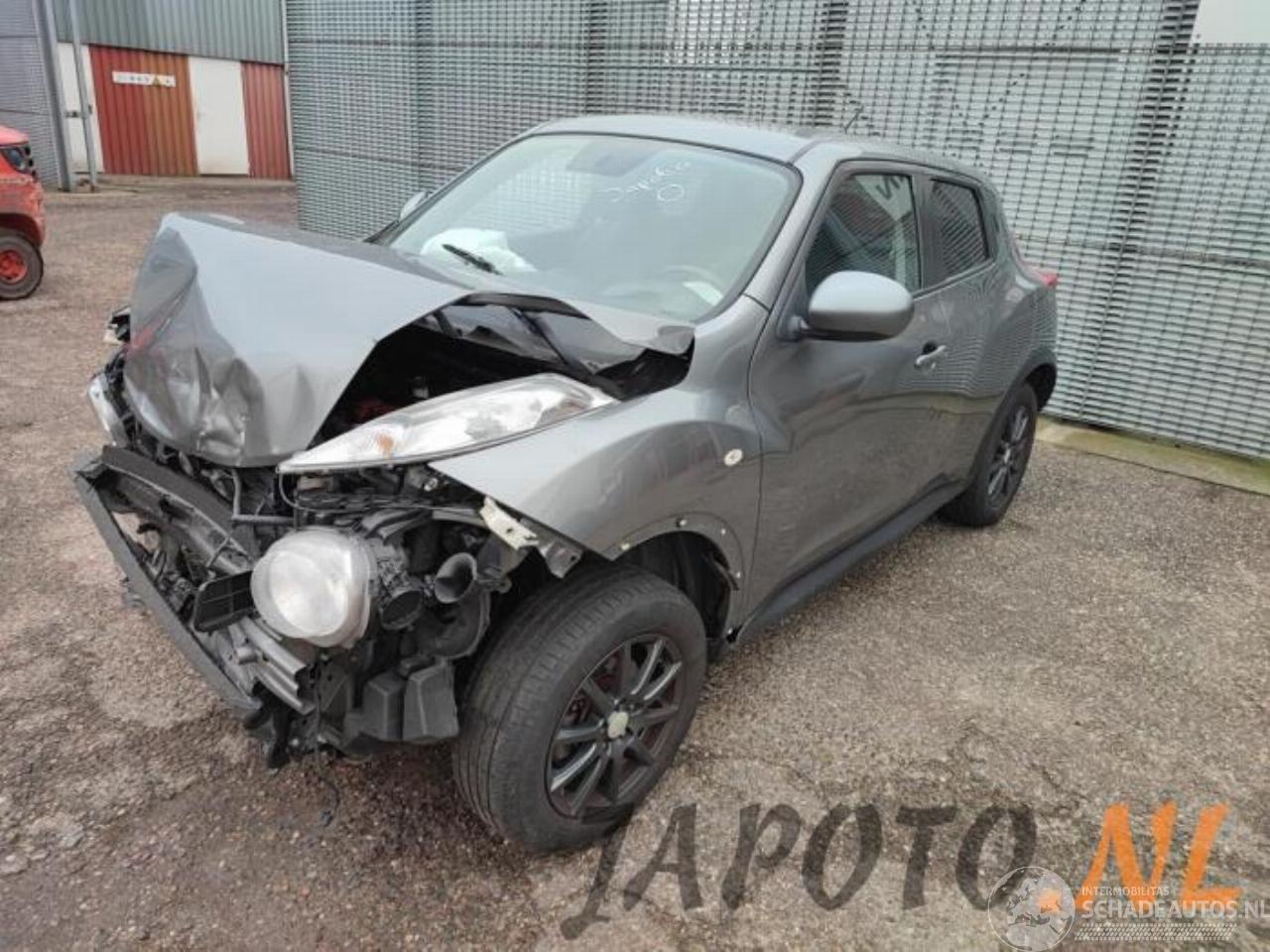 Nissan Juke Juke (F15), SUV, 2010 / 2019 1.6 16V