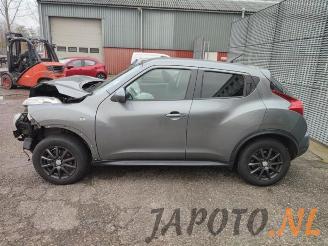 Nissan Juke Juke (F15), SUV, 2010 / 2019 1.6 16V picture 2