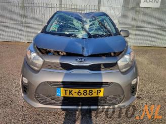 Kia Picanto Picanto (JA), Hatchback, 2017 1.0 12V picture 8