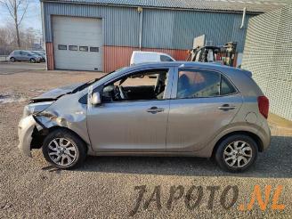 Kia Picanto Picanto (JA), Hatchback, 2017 1.0 12V picture 2