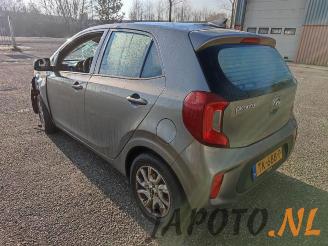 Kia Picanto Picanto (JA), Hatchback, 2017 1.0 12V picture 3