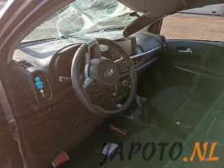 Kia Picanto Picanto (JA), Hatchback, 2017 1.0 12V picture 10