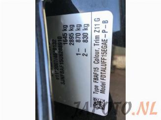 Nissan Juke Juke (F15), SUV, 2010 / 2019 1.6 16V picture 21