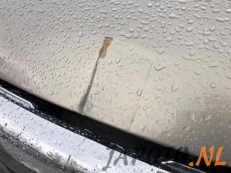 Kia Sportage Sportage (SL), Terreinwagen, 2010 / 2016 2.0 CVVT 16V 4x2 picture 20