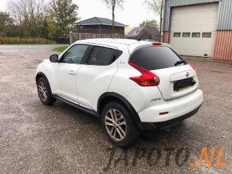 Nissan Juke Juke (F15), SUV, 2010 / 2019 1.6 16V picture 3