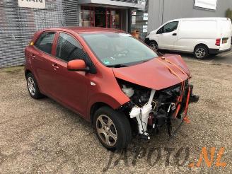 Kia Picanto Picanto (JA), Hatchback, 2017 1.0 12V picture 7