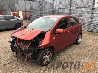 demontáž osobní automobily Kia Picanto Picanto (JA), Hatchback, 2017 1.0 12V 2019/8