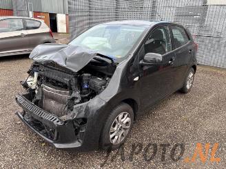 Auto da rottamare Kia Picanto Picanto (JA), Hatchback, 2017 1.0 12V 2019/8