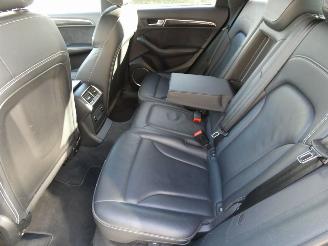 Audi SQ5 3.0 TDI SQ5 q. Pro L picture 15