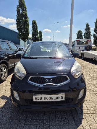 Autoverwertung Kia Picanto (TA) Hatchback 1.0 12V (G3LA) [51kW] 5-BAK 2012/1