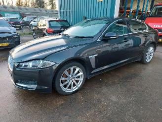 damaged passenger cars Jaguar XF XF (CC9) Sedan 2.2 D S200 16V (224DT) [147kW] 2012/12