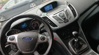 Ford Grand C-Max Grand C-Max (DXA) MPV 1.0 Ti-VCT EcoBoost 12V 125 (M1DA(Euro 5)) [92kW=
]  (10-2012/06-2019) picture 10