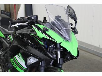 Kawasaki Ninja 650 ABS picture 6