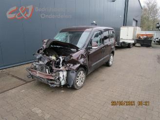 Fiat Doblo Doblo (263), MPV, 2010 / 2023 1.6 D Multijet picture 2
