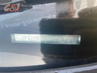 Fiat Qubo Qubo, MPV, 2008 1.3 D 16V Multijet picture 8