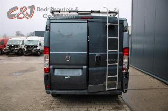 Fiat Ducato Ducato (250), Bus, 2006 2.3 D 120 Multijet picture 4