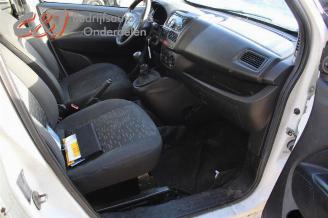 Opel Combo Combo, Van, 2012 / 2018 1.3 CDTI 16V ecoFlex picture 10