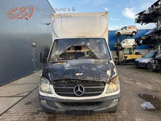 Mercedes Sprinter Sprinter 5t (906.15/906.25), Ch.Cab/Pick-up, 2006 / 2018 516 CDI 16V picture 8